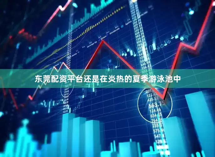 东莞配资平台还是在炎热的夏季游泳池中
