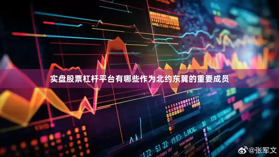 实盘股票杠杆平台有哪些作为北约东翼的重要成员